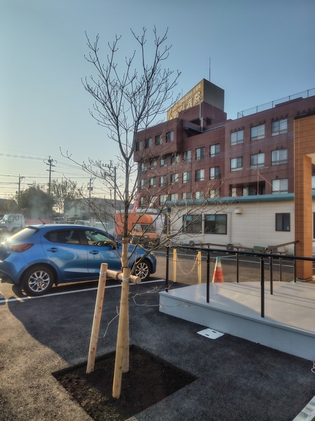 在宅支援センターほくぶの玄関横に記念樹