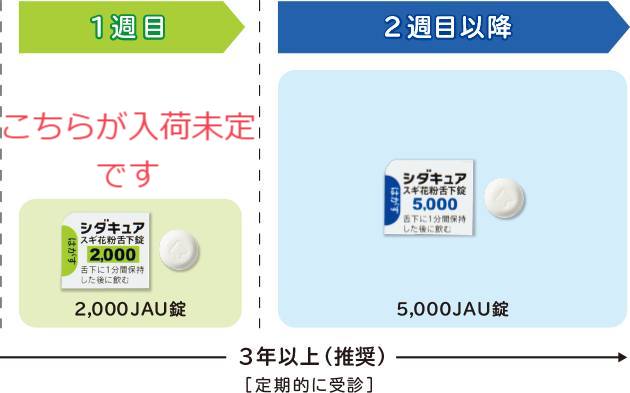 スギアレルギーの舌下免疫療法の「シダキュア」